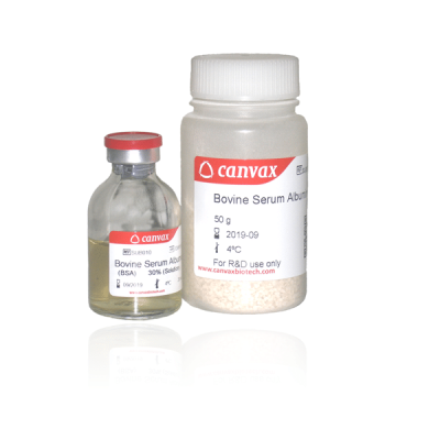 Bovine Serum Albumin (BSA)