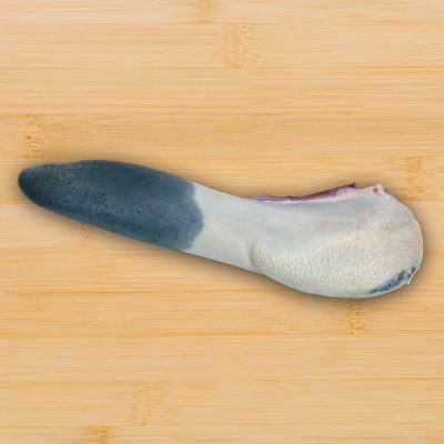 viceras-lengua